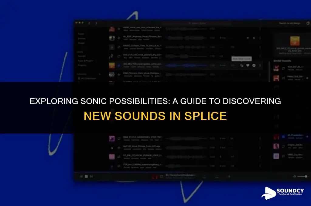 how to search for new sounds in splice app