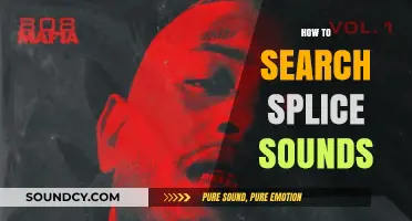 Mastering Splice Sounds: A Comprehensive Guide to Efficiently Search and Find