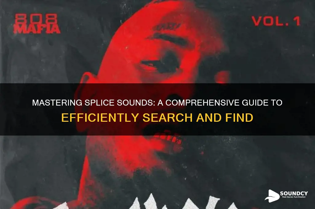 how to search splice sounds