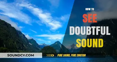 Exploring Doubtful Sound: A Comprehensive Guide to Witnessing Its Majestic Beauty
