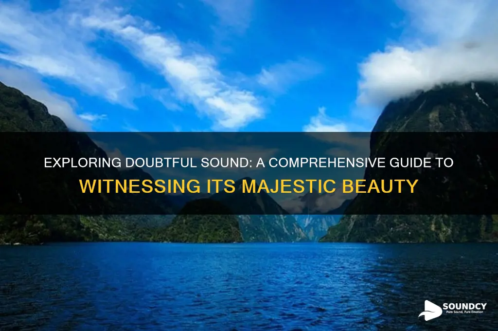 how to see doubtful sound