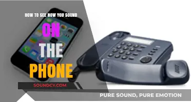 Echoes of You: Discovering Your Phone Voice