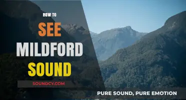 Exploring Milford Sound: Ultimate Guide to Witnessing Its Majestic Beauty