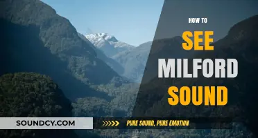 Exploring Milford Sound: Ultimate Guide to Witnessing Its Majestic Beauty