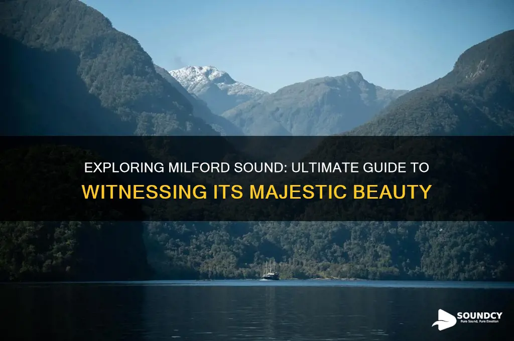how to see milford sound