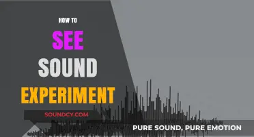 Visualize Sound Waves: Simple Experiment to See Sound in Action