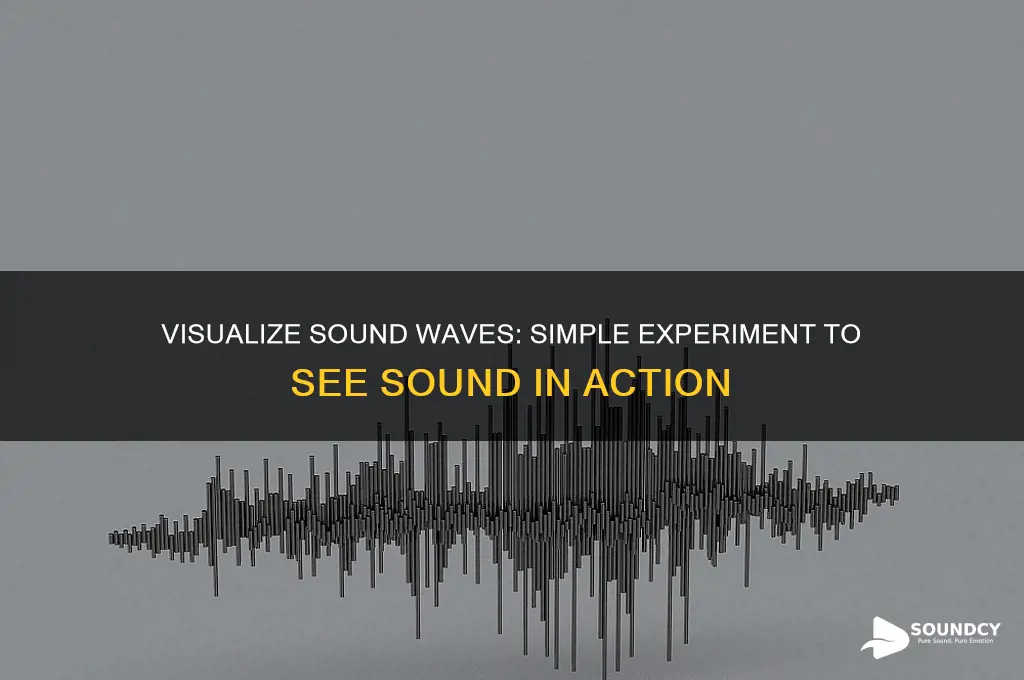 how to see sound experiment
