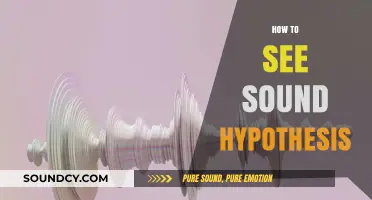 Visualizing Sound: Exploring the Science Behind the 'See Sound' Hypothesis