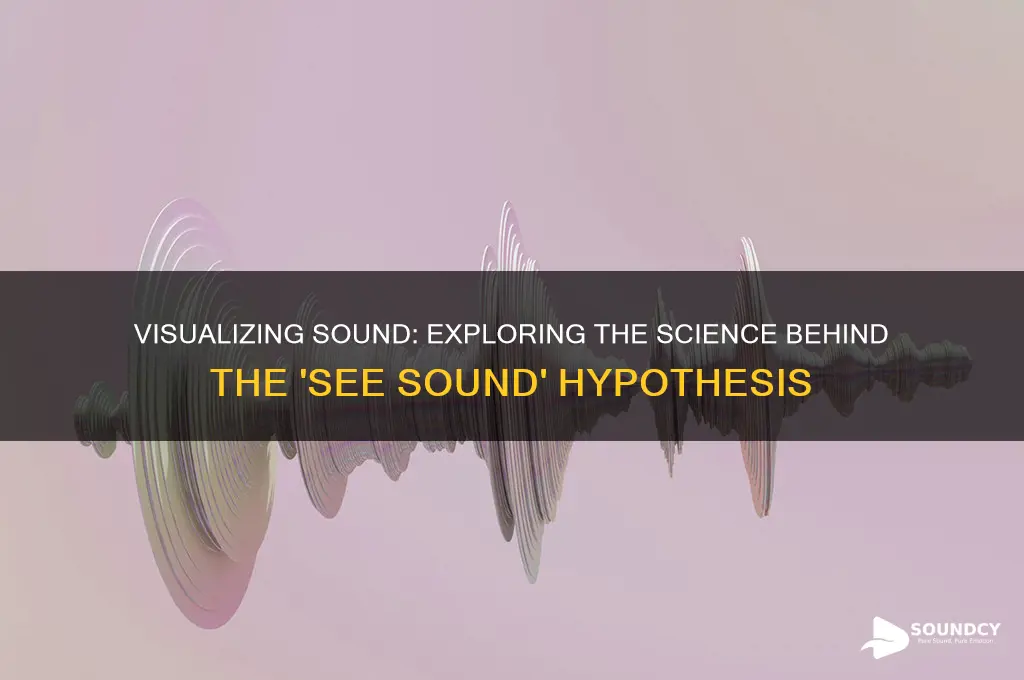 how to see sound hypothesis