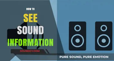 Visualizing Sound: Techniques to See and Interpret Audio Data