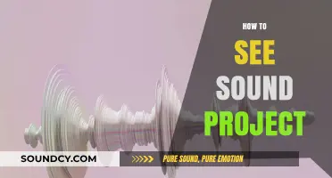 Visualizing Sound: A Step-by-Step Guide to Seeing Audio Projects
