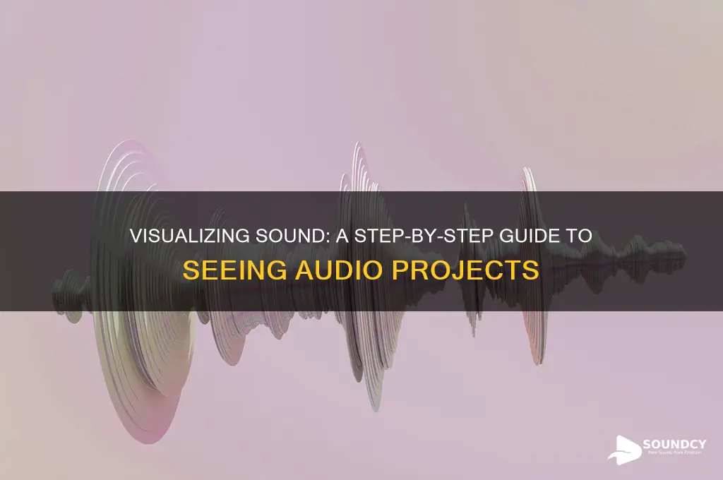 how to see sound project