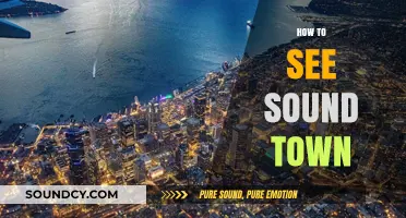 Exploring Sound Town: A Beginner's Guide to Visualizing Urban Sounds