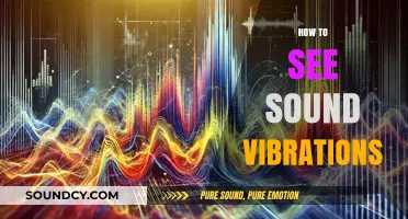 Visualizing Sound: Techniques to Observe Vibrations in Action