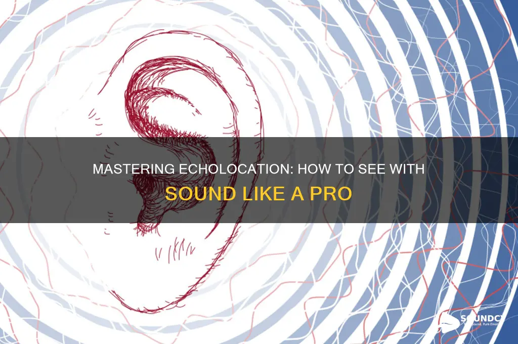 how to see with sound