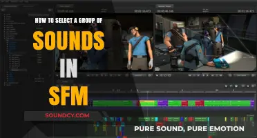 Mastering Sound Selection in SFM: A Comprehensive Guide