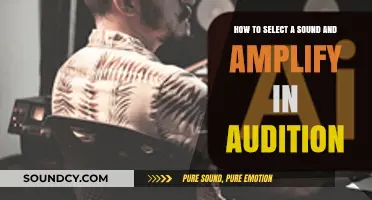 Mastering Audition: A Guide to Selecting and Amplifying Sound