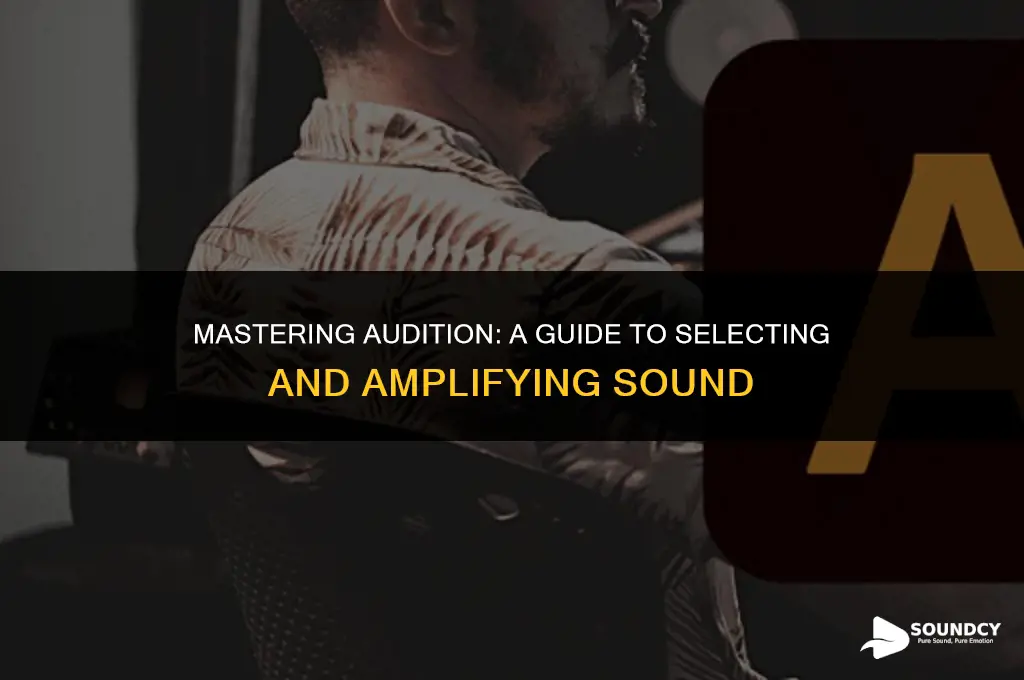 how to select a sound and amplify in audition