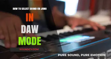 Crafting Sonic Magic: Juno's DAW Mode Sound Selection Secrets