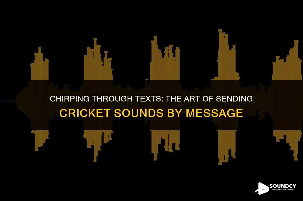 how to send a cricket sound by text message