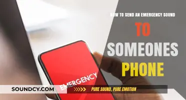Urgent Alert: How to Send Emergency Sounds to Someone's Phone