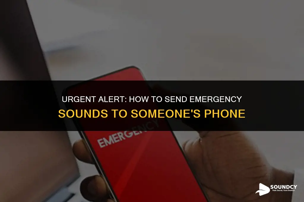 how to send an emergency sound to someones phone