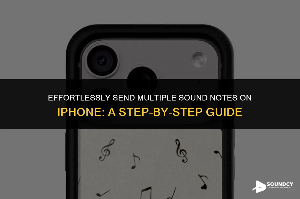 how to send multiple sound notes at once ipgone
