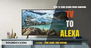 Effortlessly Stream Audio from Samsung TV to Alexa Devices