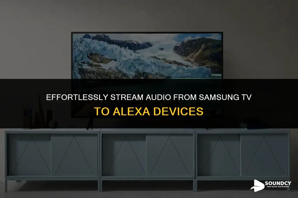 how to send sound from samsung tv to alexa