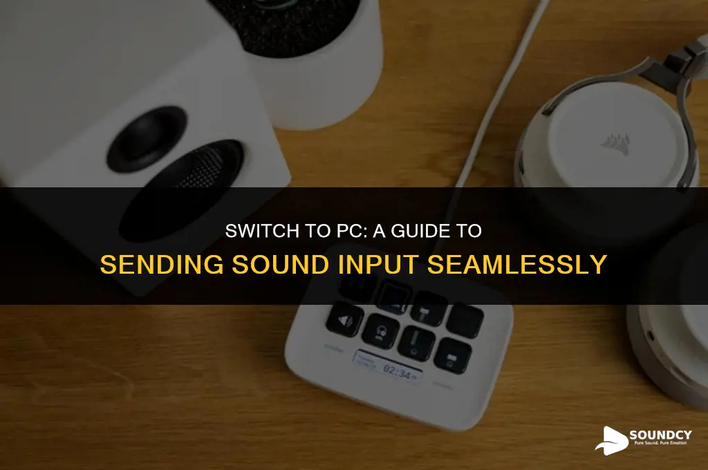 how to send sound imput from switch to computer
