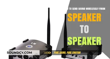 Wireless Audio Transmission: Connecting Speakers Seamlessly