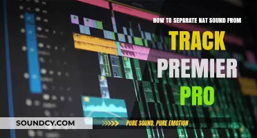 Mastering Audio Editing: How to Separate Nat Sound from Track in Premiere Pro