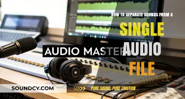 Audio Editing Mastery: Isolating Sounds from a Single File