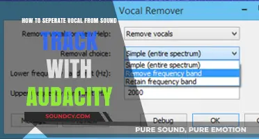 Effortlessly Isolate Vocals from Soundtracks Using Audacity: A Step-by-Step Guide