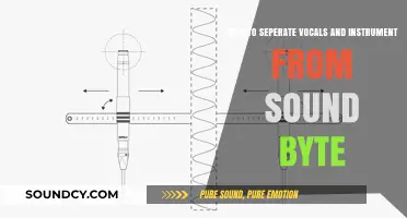Extracting Harmony: A Guide to Isolating Vocals and Instruments from Audio Files