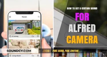 Customizing Your Alfred Camera's Sound Settings: A Step-by-Step Guide