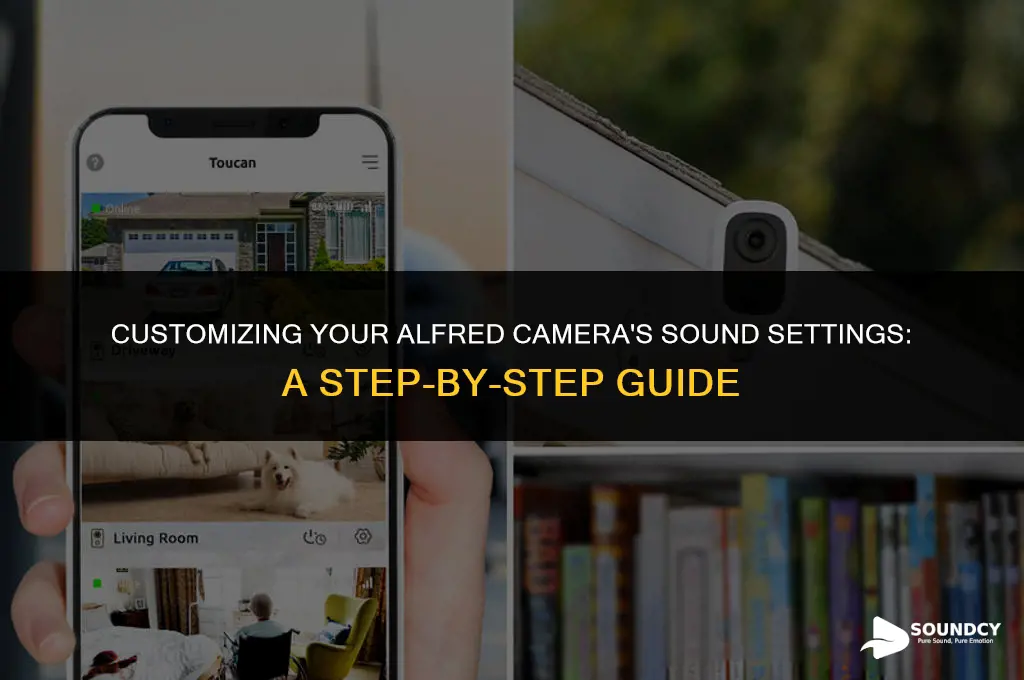 how to set a certain sound for alfred camera