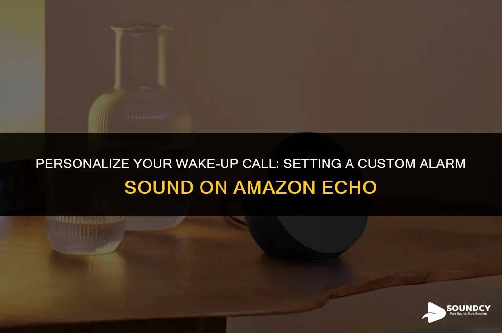 how to set a custom alarm sound amazon echo