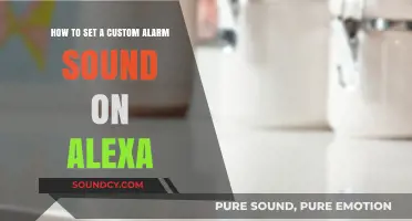 Wake Up to Your Favorite Tune: Setting Custom Alarms on Alexa