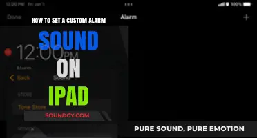Personalize Your iPad: Setting a Custom Alarm Sound
