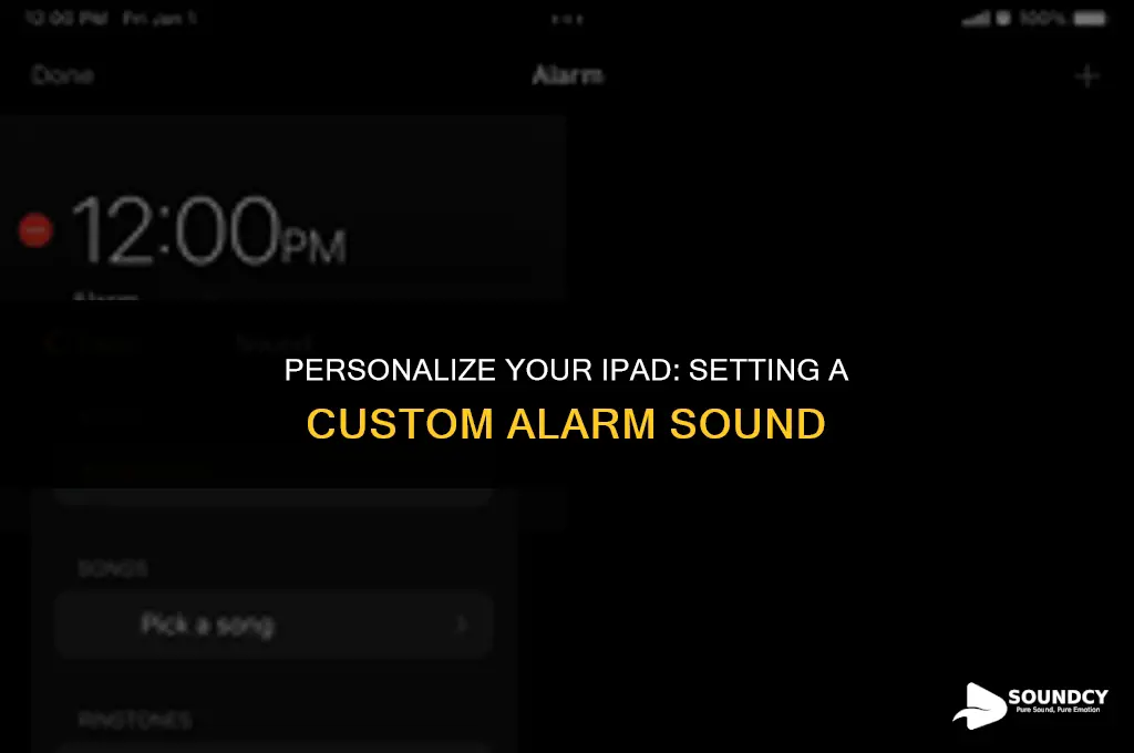 how to set a custom alarm sound on ipad