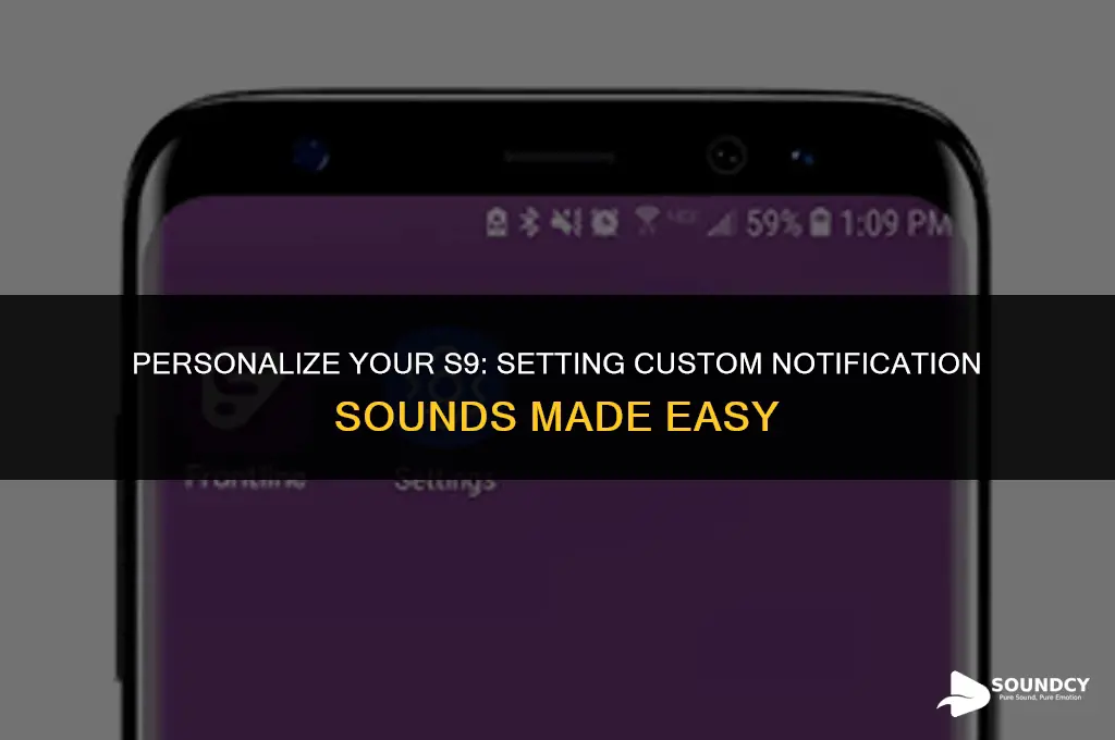 how to set a custom notification sound on s9