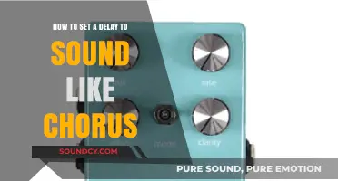 Echoes in Time: Crafting the Perfect Chorus Delay Effect