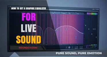 Mastering Live Sound: A Guide to Setting Your Graphic Equalizer