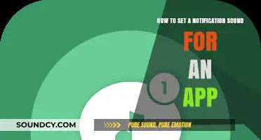 Customize Your App Experience: Setting the Perfect Notification Sound
