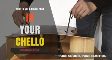 Mastering the Art: Setting a Sound Post in Your Cello