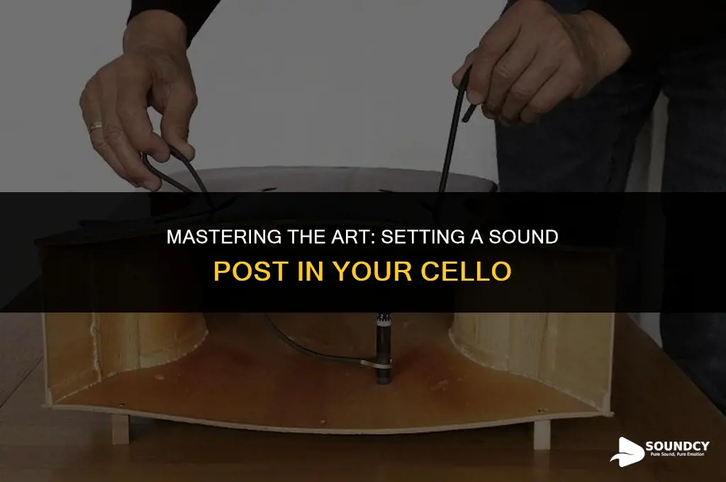 how to set a sound post in your chello