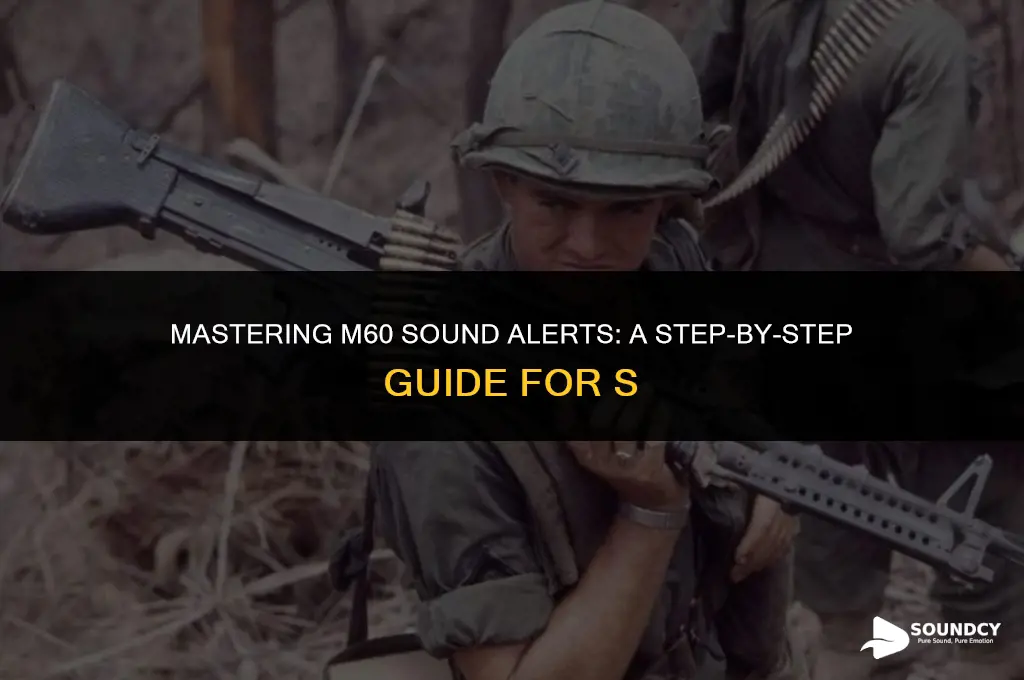 how to set an m60 sound alert on s