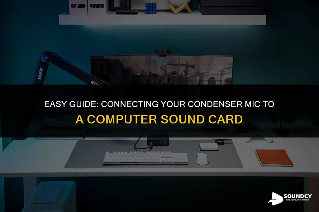 how to set condenser mic into computer sound card