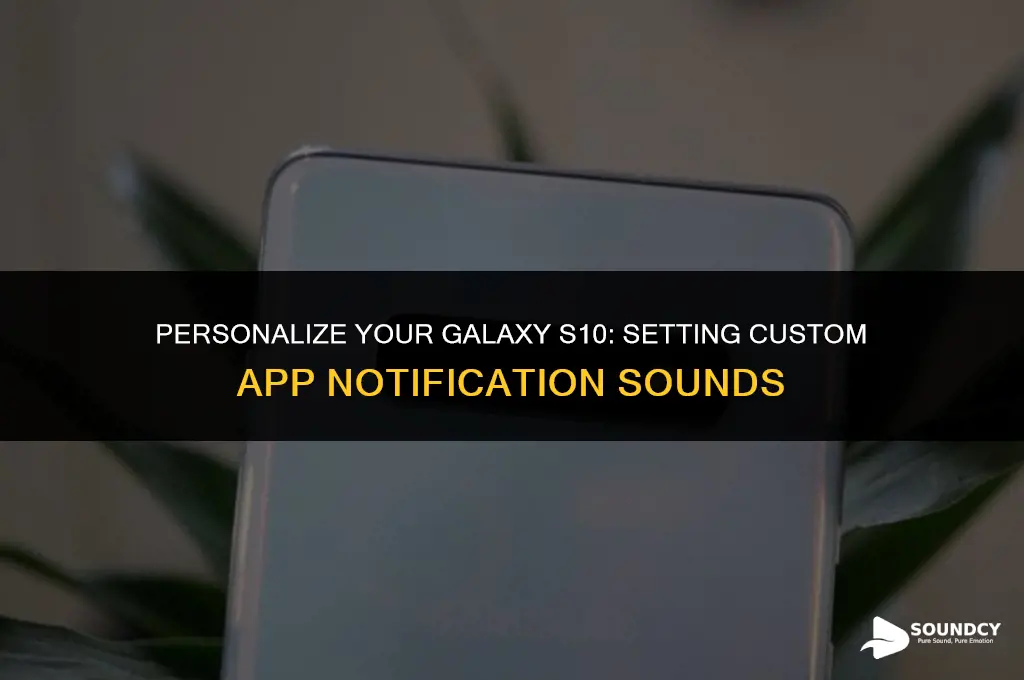 how to set custom app notification sounds galaxy s10